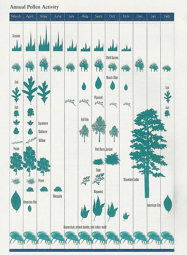 Pollen Chart